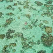 Dji 0117