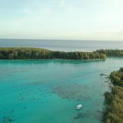 Dji 0123