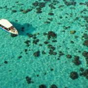 Dji 0271