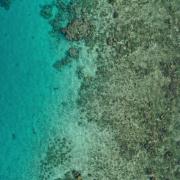 Dji 0338