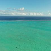 Dji 0388