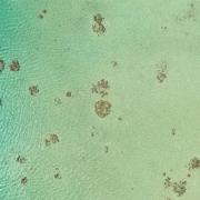 Dji 0442
