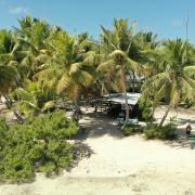 Dji 0458