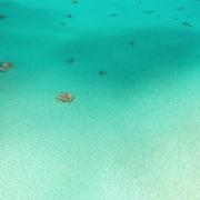 Dji 0482