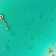 Dji 0521