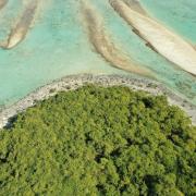 Dji 0600