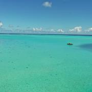 Dji 365